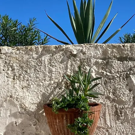 Semesterbostad Corallino Ai Calamoni At My Place Favignana